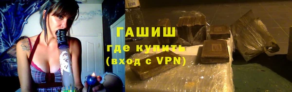 хмурый Няндома