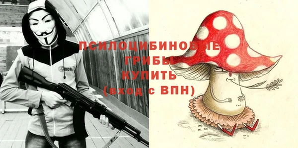 бошки Алзамай
